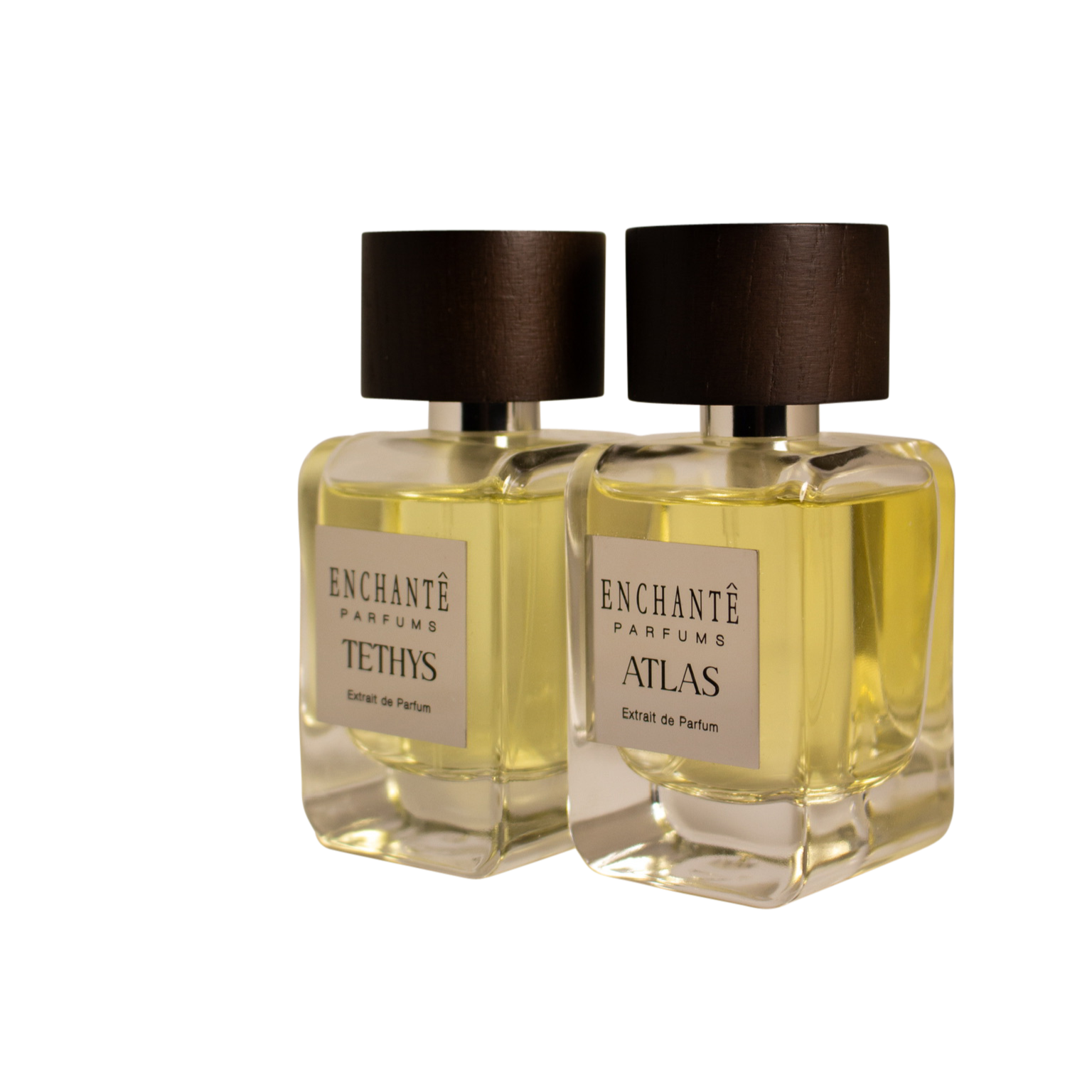 ESSENCE OF TITANS - Bundle