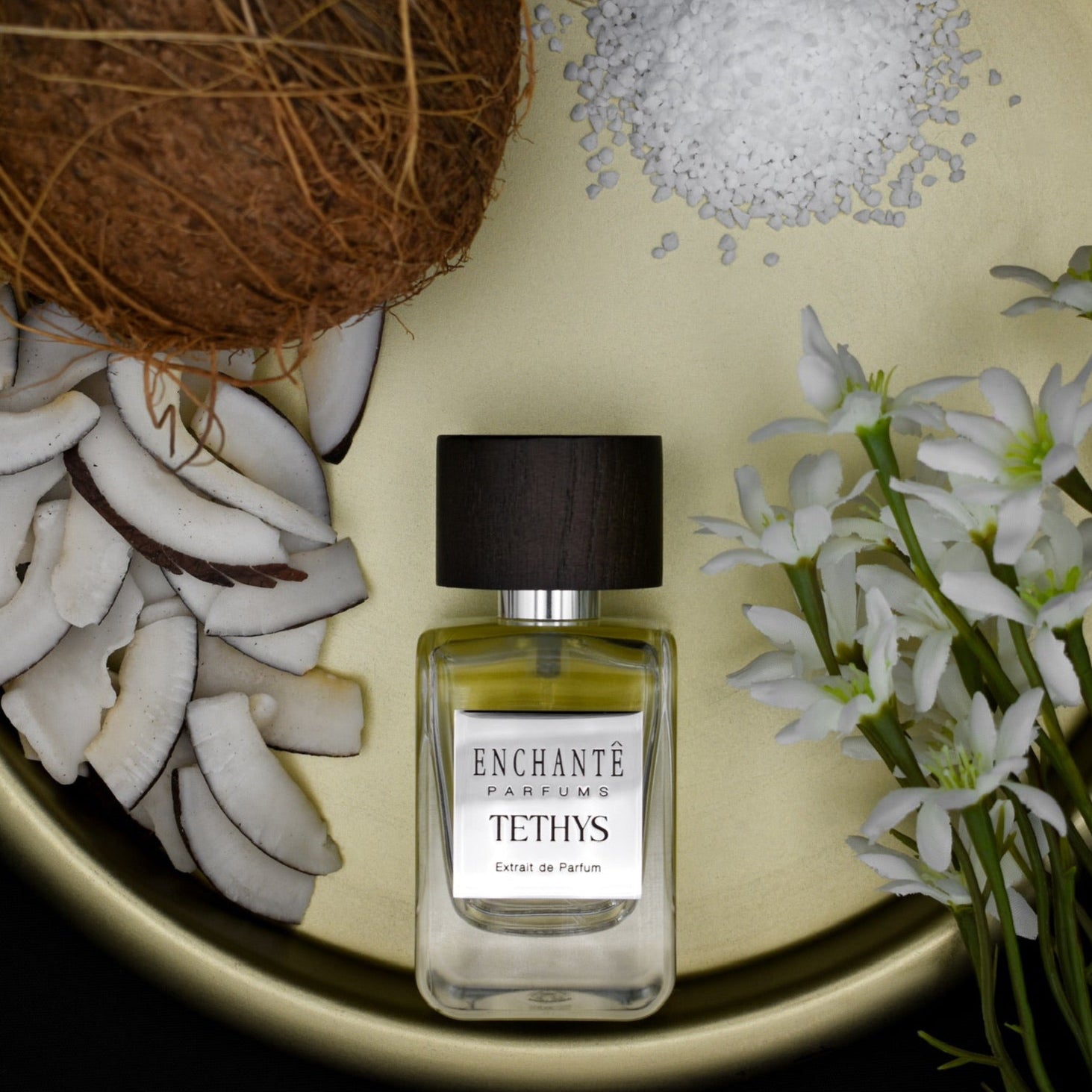 ESSENCE OF TITANS - Bundle